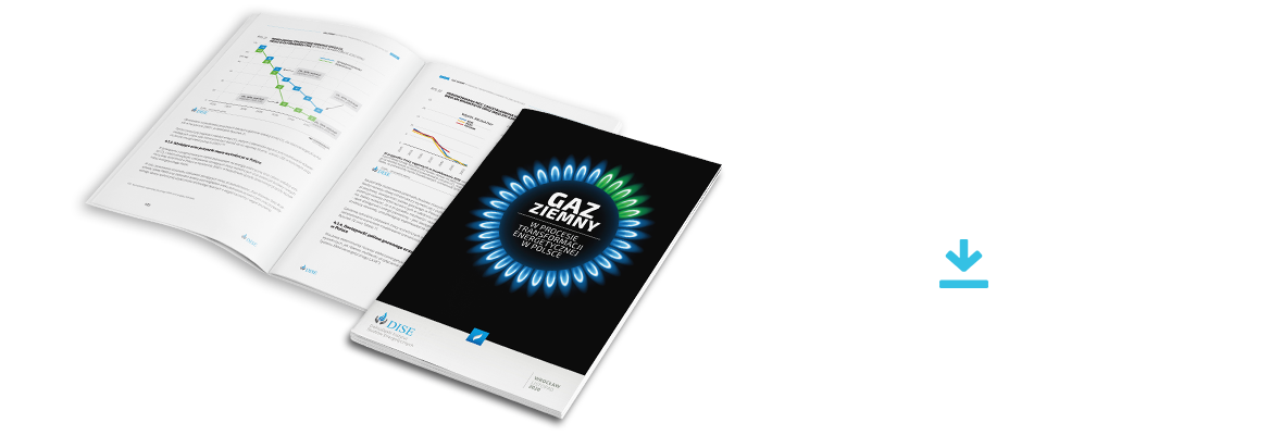 RAPORT DISE Gaz Ziemny